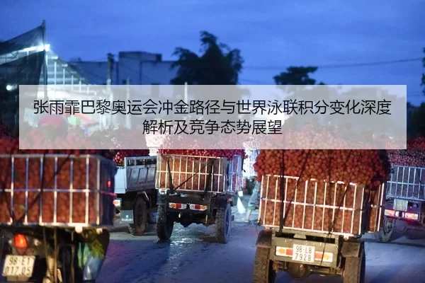张雨霏巴黎奥运会冲金路径与世界泳联积分变化深度解析及竞争态势展望
