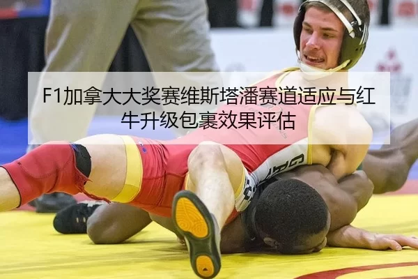 jia-na-da-da-jiang-sai-wei-si-ta-pan-sai-dao-shi-ying-yu-hong-niu-sheng-ji-bao-guo-xiao-guo-ping-gu-2-676.jpg