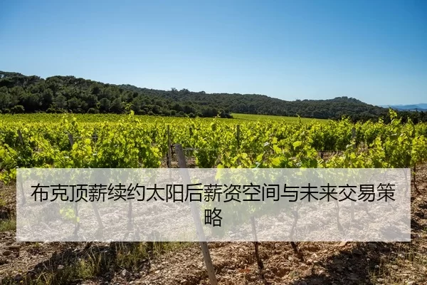 布克顶薪续约太阳后薪资空间与未来交易策略
