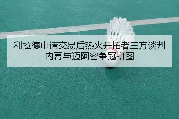 li-la-de-shen-qing-jiao-yi-hou-re-huo-kai-tuo-zhe-san-fang-tan-pan-nei-mu-yu-mai-a-mi-zheng-guan-pin-tu-2-236.jpg